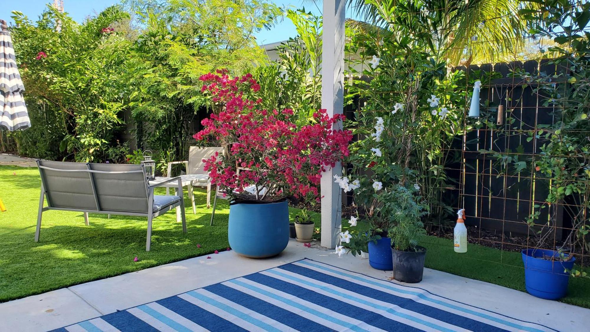 Casa Cuba In Little Havana, Brickell, Calle 8 And 10 Minutes To The Beach Free Parking 마이애미 외부 사진